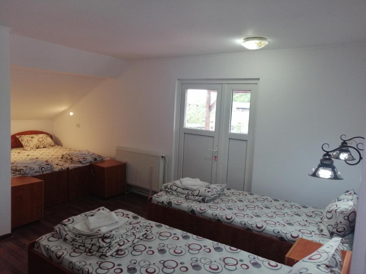Vila Elly Piatra Neamţ Esterno foto